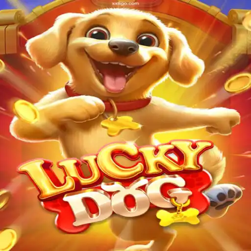 Discover LuckyDog: Your Gateway to Brazil's Most Trusted Casino Experience